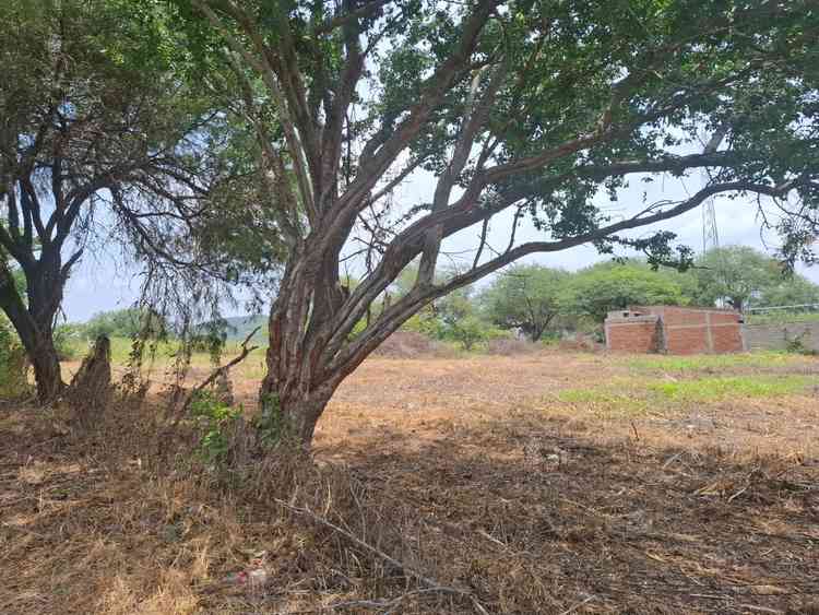 terreno en venta fraccion b de la fraccion 10 ixtlahuacan de los membrillos ixtlahuacan de los membrillos jalisco pahUeLq